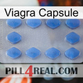 Viagra Capsule 21